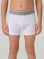 Boca Boxer