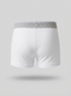 Boca Boxer