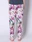Dimana Pant