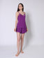 Shekina Short